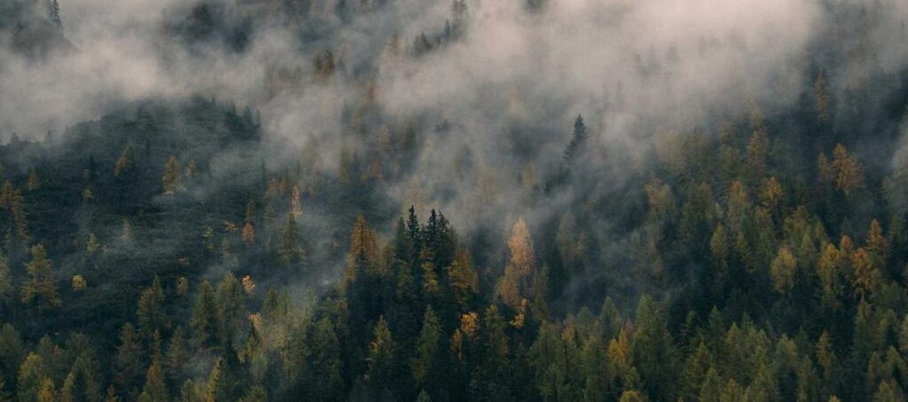 Asperiores consequatur similique ipsa ea aspernatur