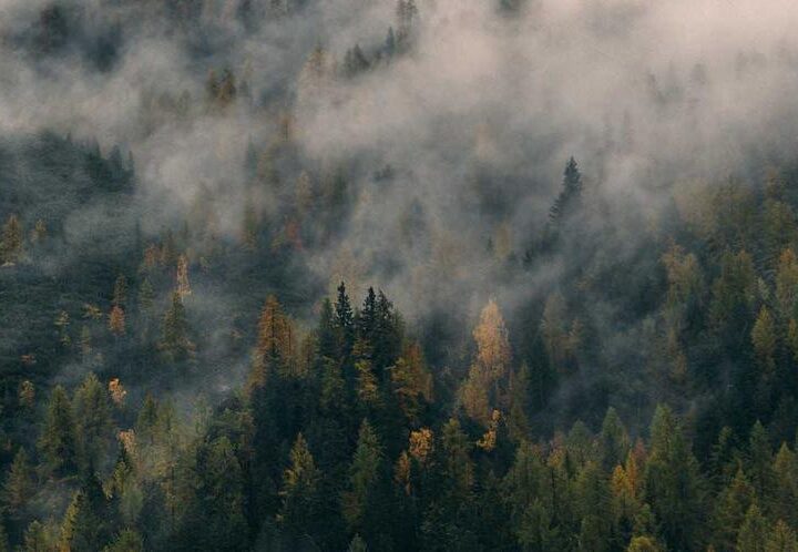 Asperiores consequatur similique ipsa ea aspernatur