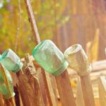 Tempora nisi dolores odio