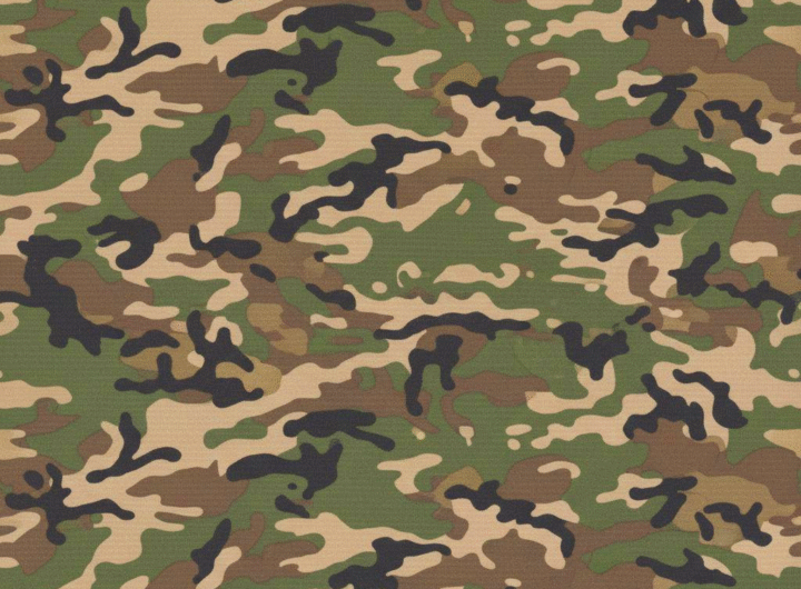 Camouflage Beyond the Battlefield: History, Symbolism, and Cultural Influence